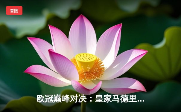 欧冠巅峰对决：皇家马德里加时绝杀曼城，本泽马帽子戏法封神